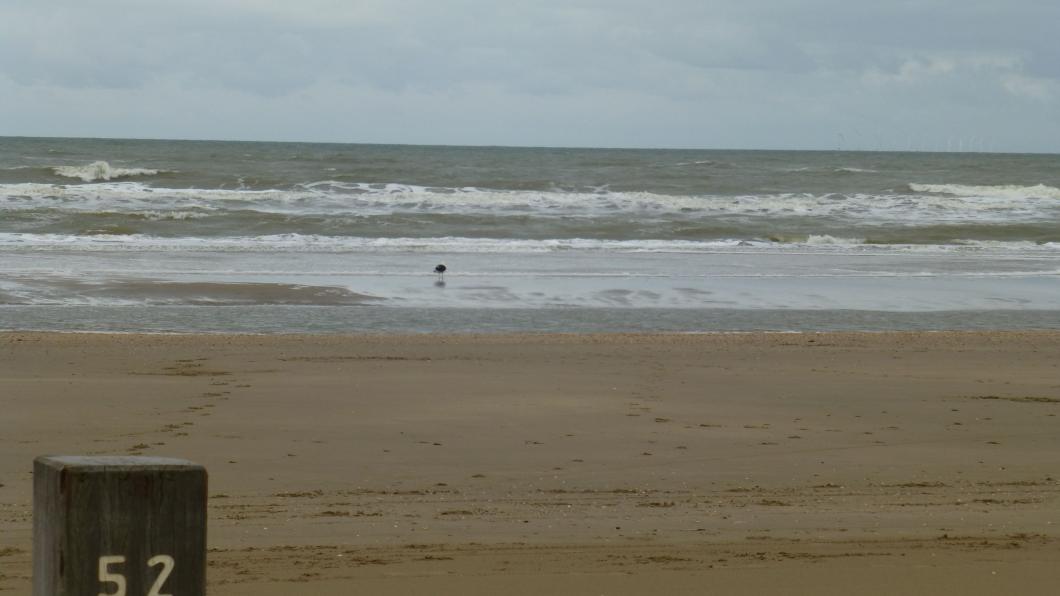 strand foto.jpg