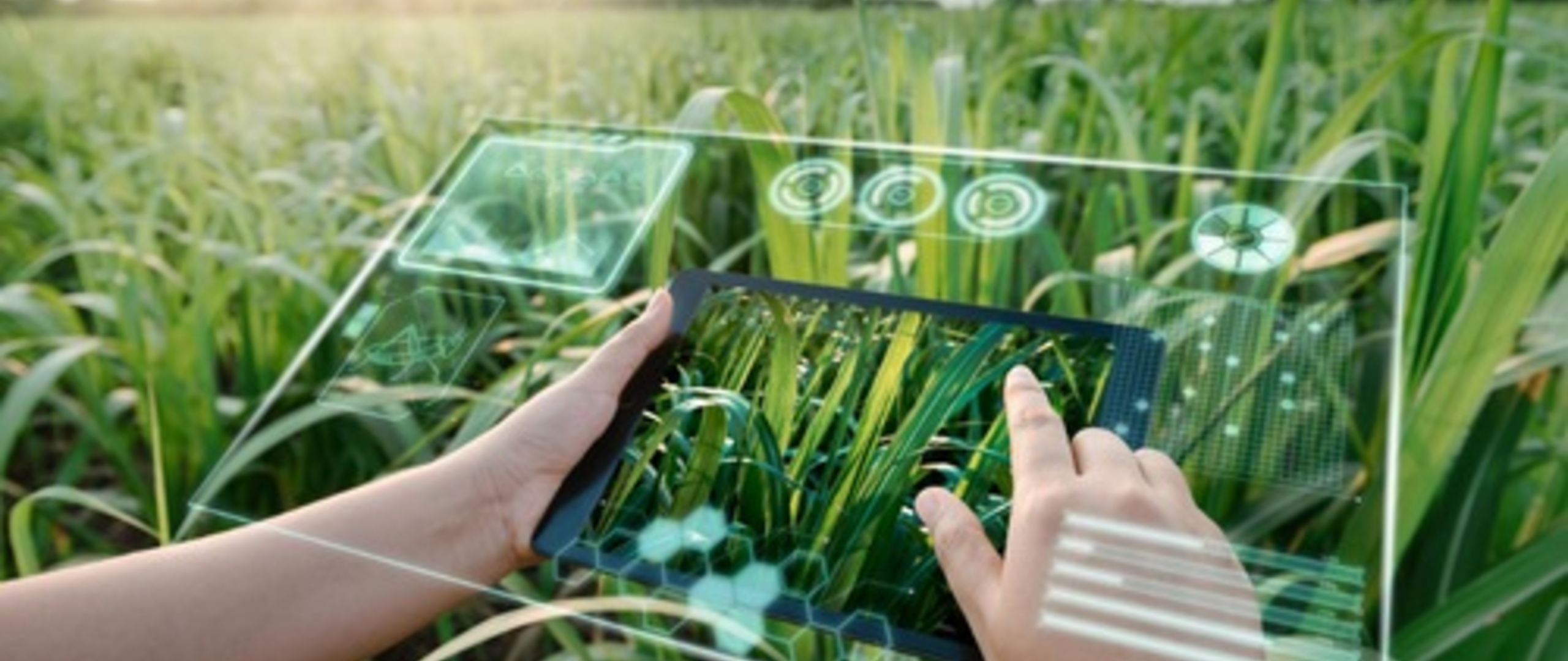 Futuristisch tablet voor een boerderij